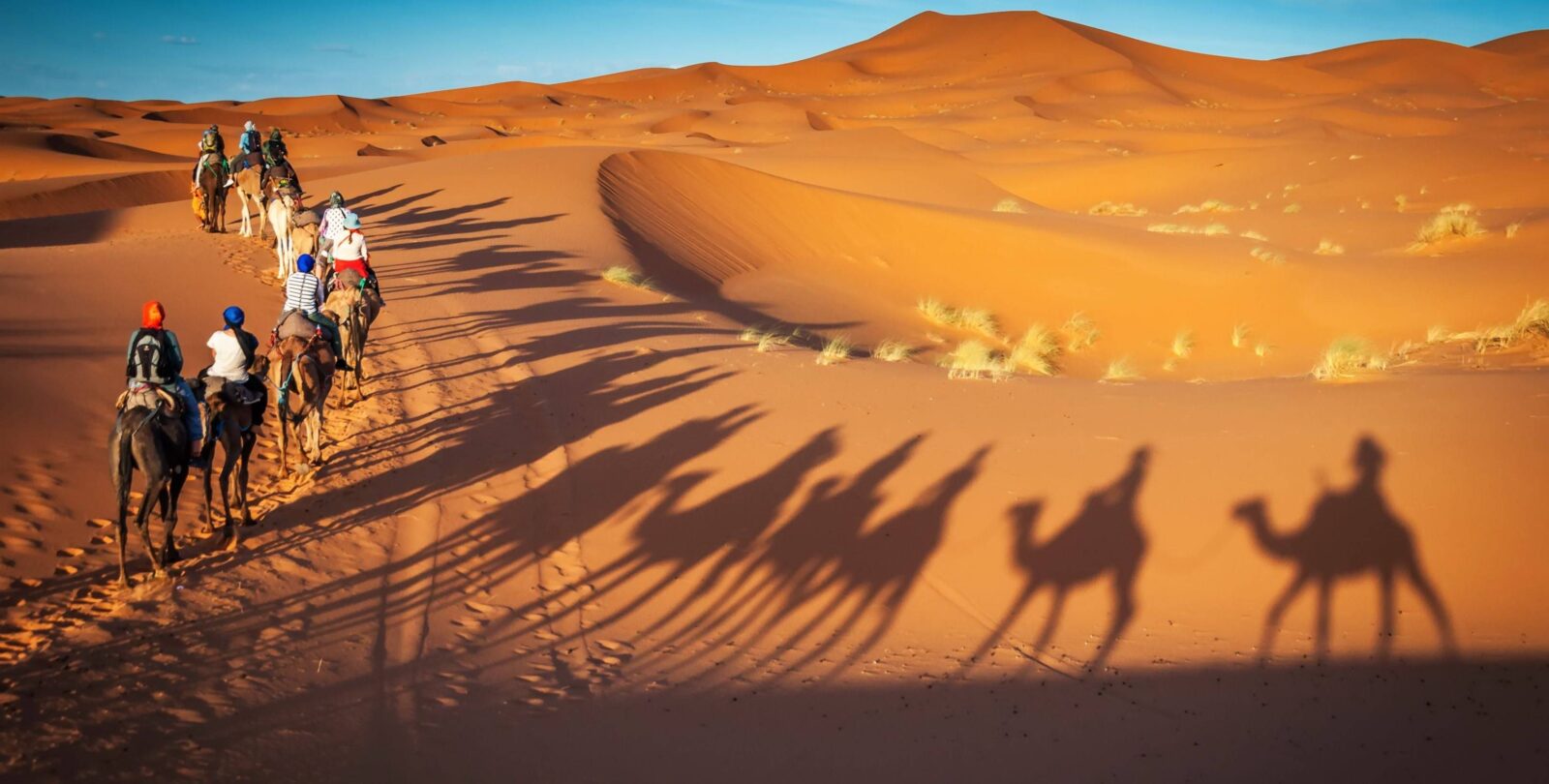 4x4 vehicles driving over high orange sand dunes in Wahiba Sands desert in Oman at sunset