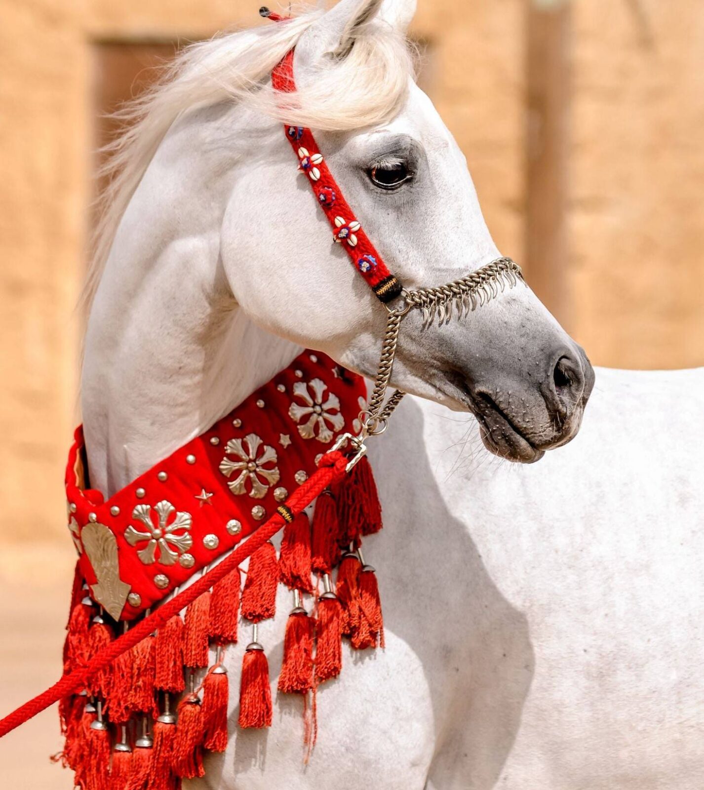 Aircraft taking off from Muscat airport with mountains in the background under a clear sky