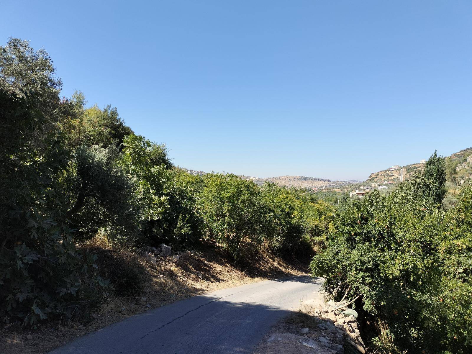 Ancient Roman colonnaded street and ruins of Jerash surrounded by green hills