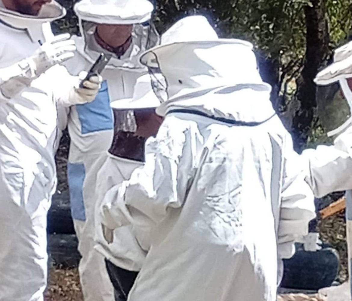 Ancient Roman colonnaded street in Jerash with a family exploring the ruins