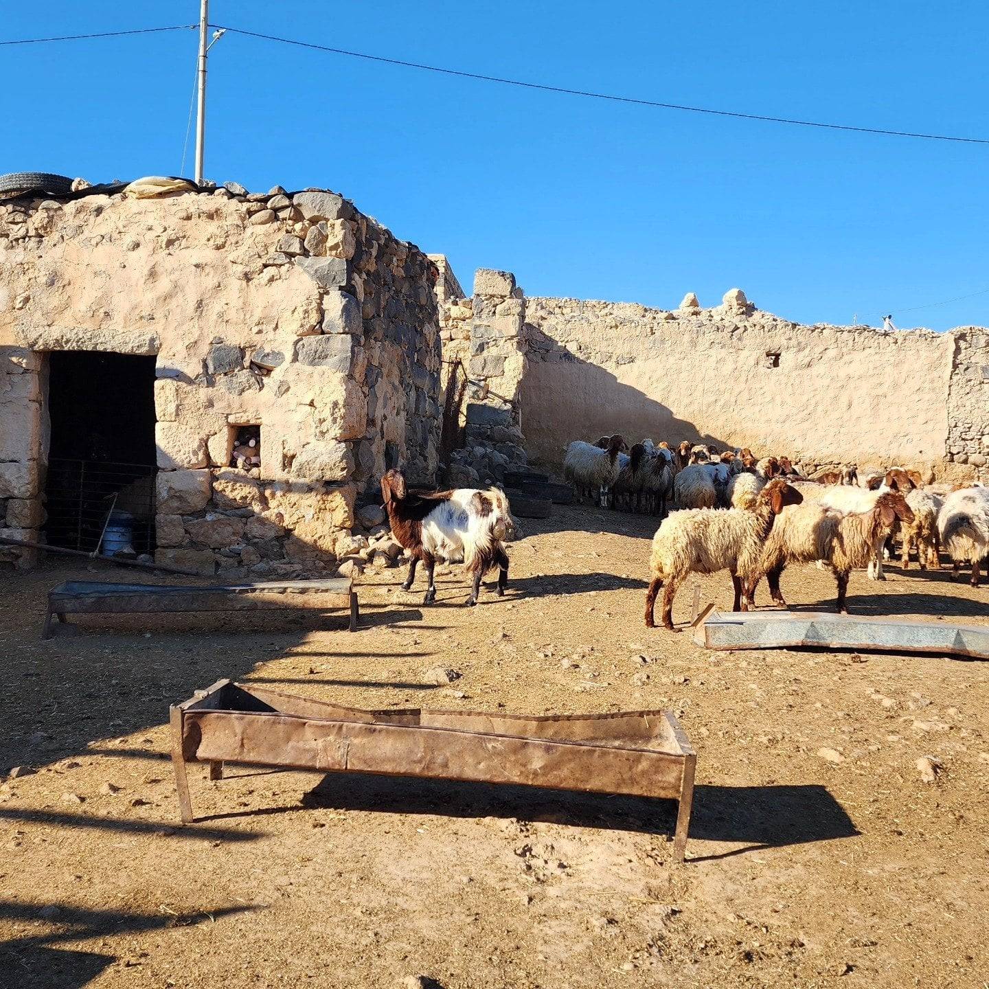 View over Karak Crusader Castle perched on a hill above the Jordanian landscape