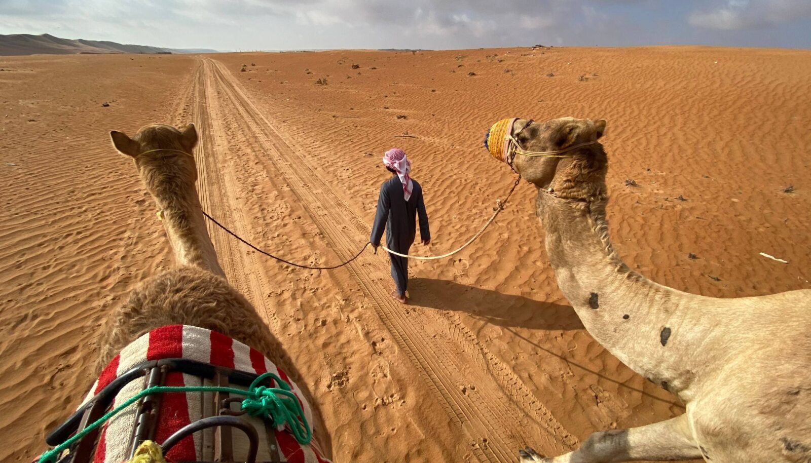 Golden dunes of the Wahiba Sands desert at sunset with a 4x4 track and clear sky in Oman
