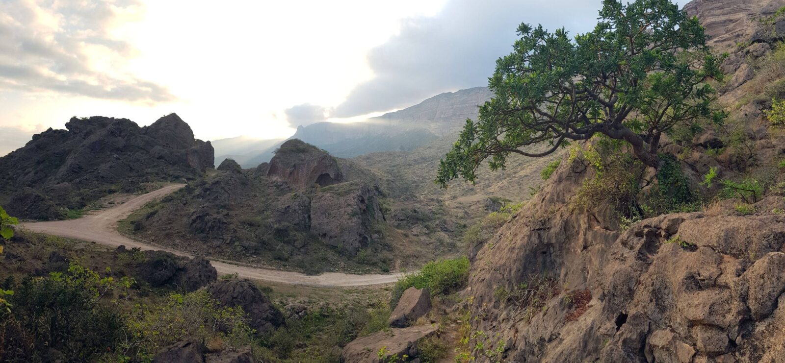 Dramatic mountain canyon view from Jebel Shams, Oman’s highest peak, with sheer cliffs and deep ravines