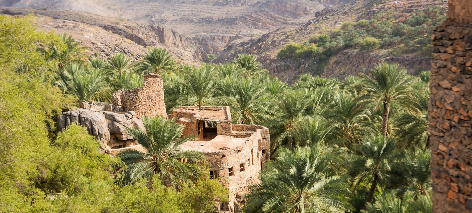 Terraced gardens and stone villages on the slopes of Jabal Al Akhdar in Oman