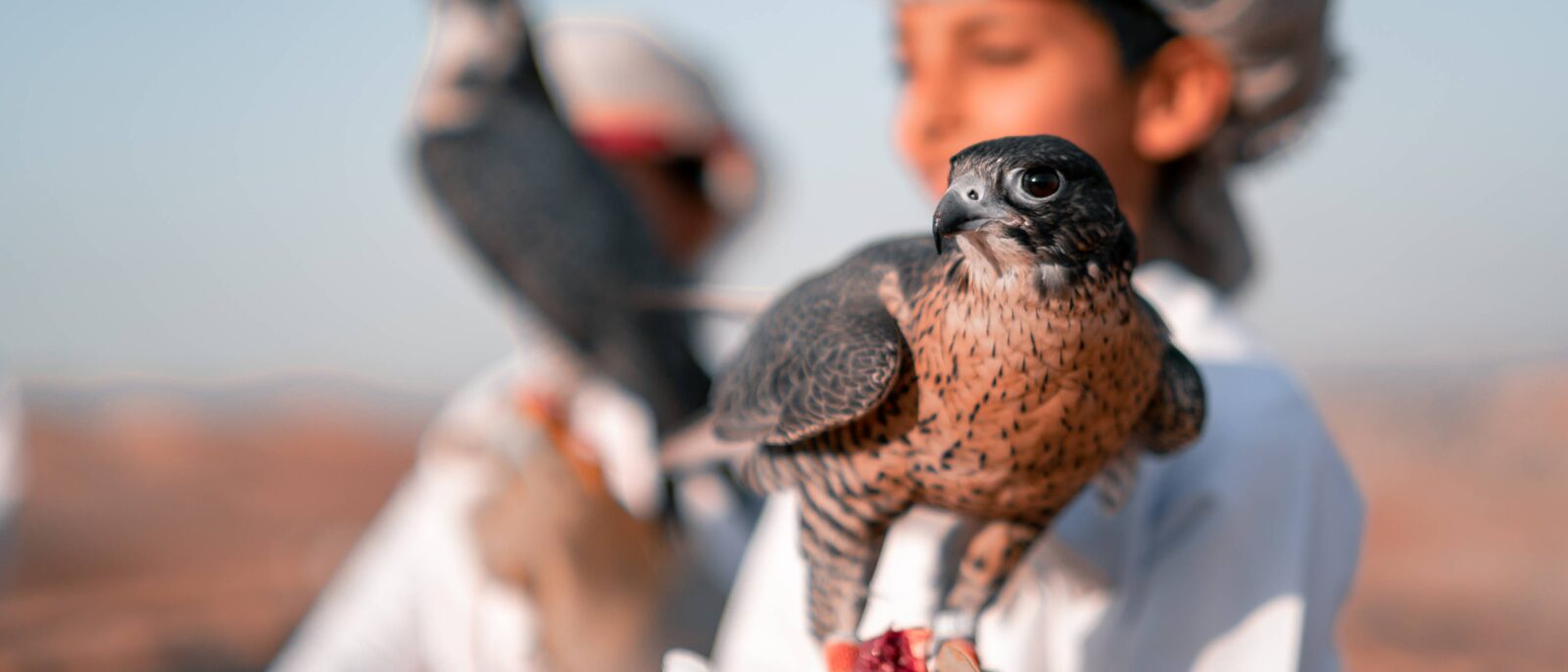 View from an airplane window over desert mountains during takeoff or landing in Oman