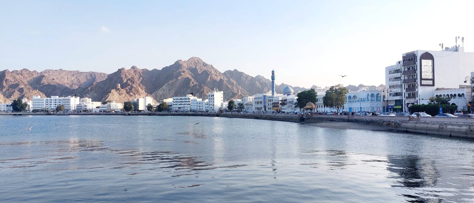 Night view of Muscat with illuminated buildings and mountains in the background, seen from above