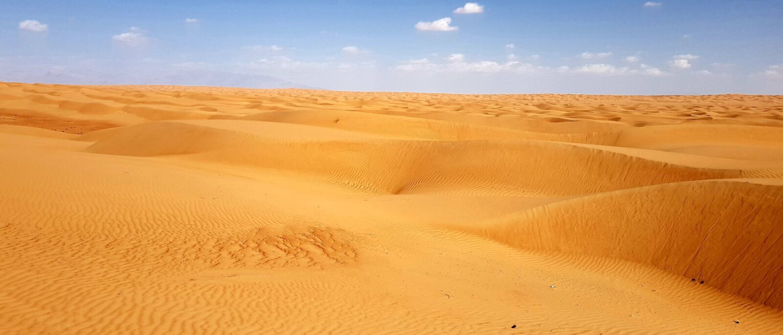 4x4 vehicles driving across wide sandy plains towards the sea in Oman