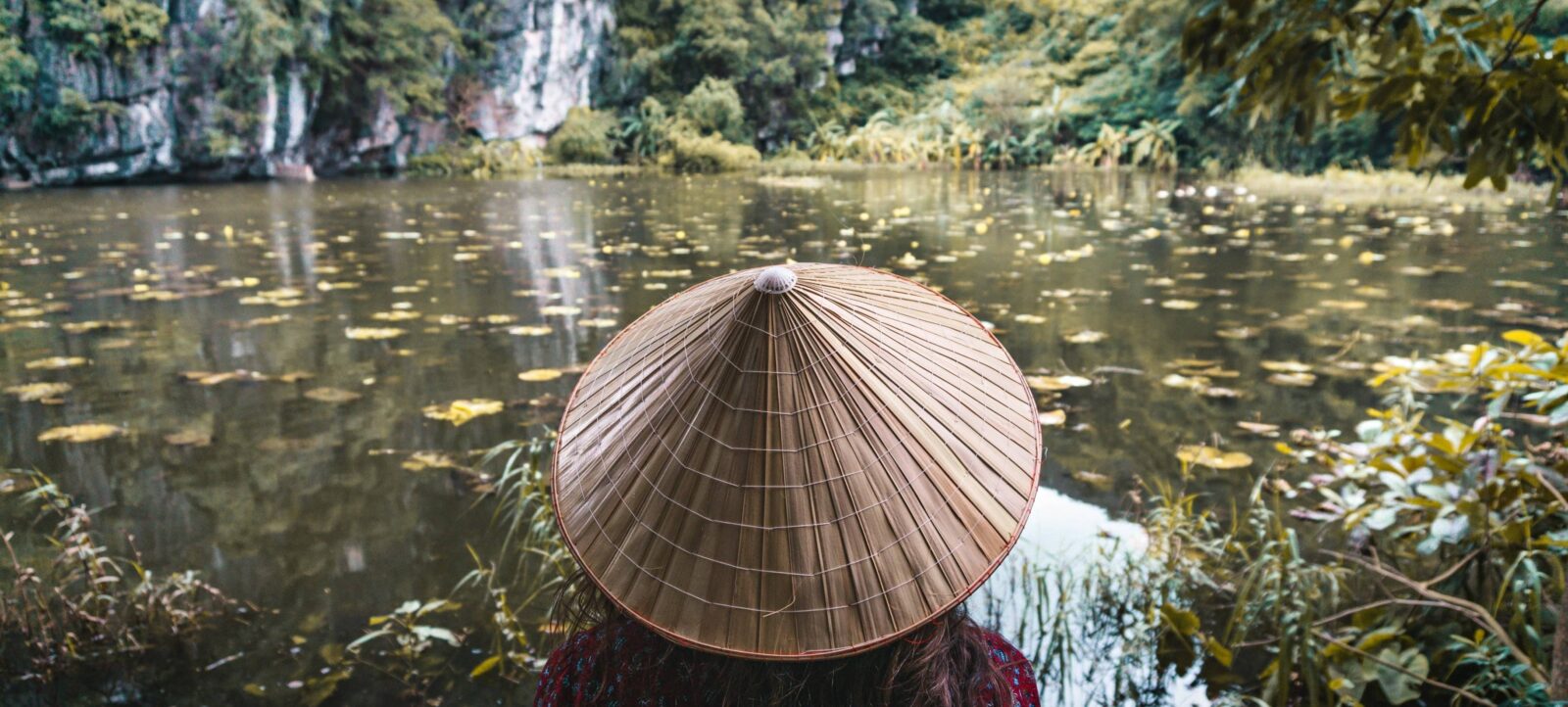 Cyclists riding past rice fields towards karst hills near Nho Quan, Vietnam