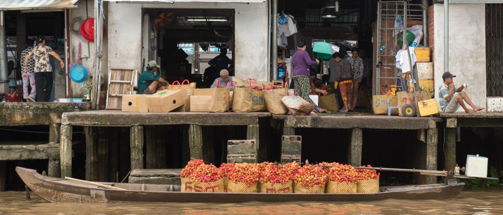 Wooden boat navigating a narrow palm-lined canal in the Mekong Delta near Vinh Long