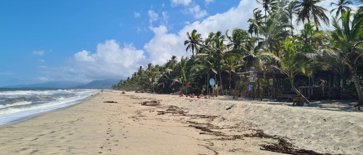 Remote Caribbean beach near Tayrona with palm trees, golden sand and waves breaking on the shore