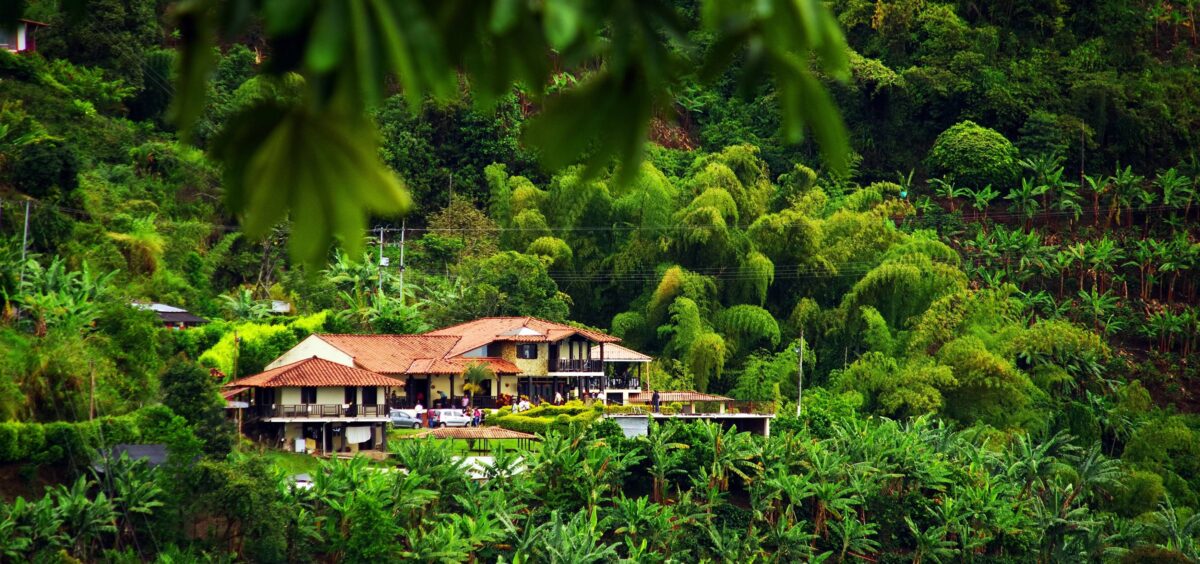 Rolling green hills of coffee plantations with scattered farmhouses in Colombia’s Quindío department