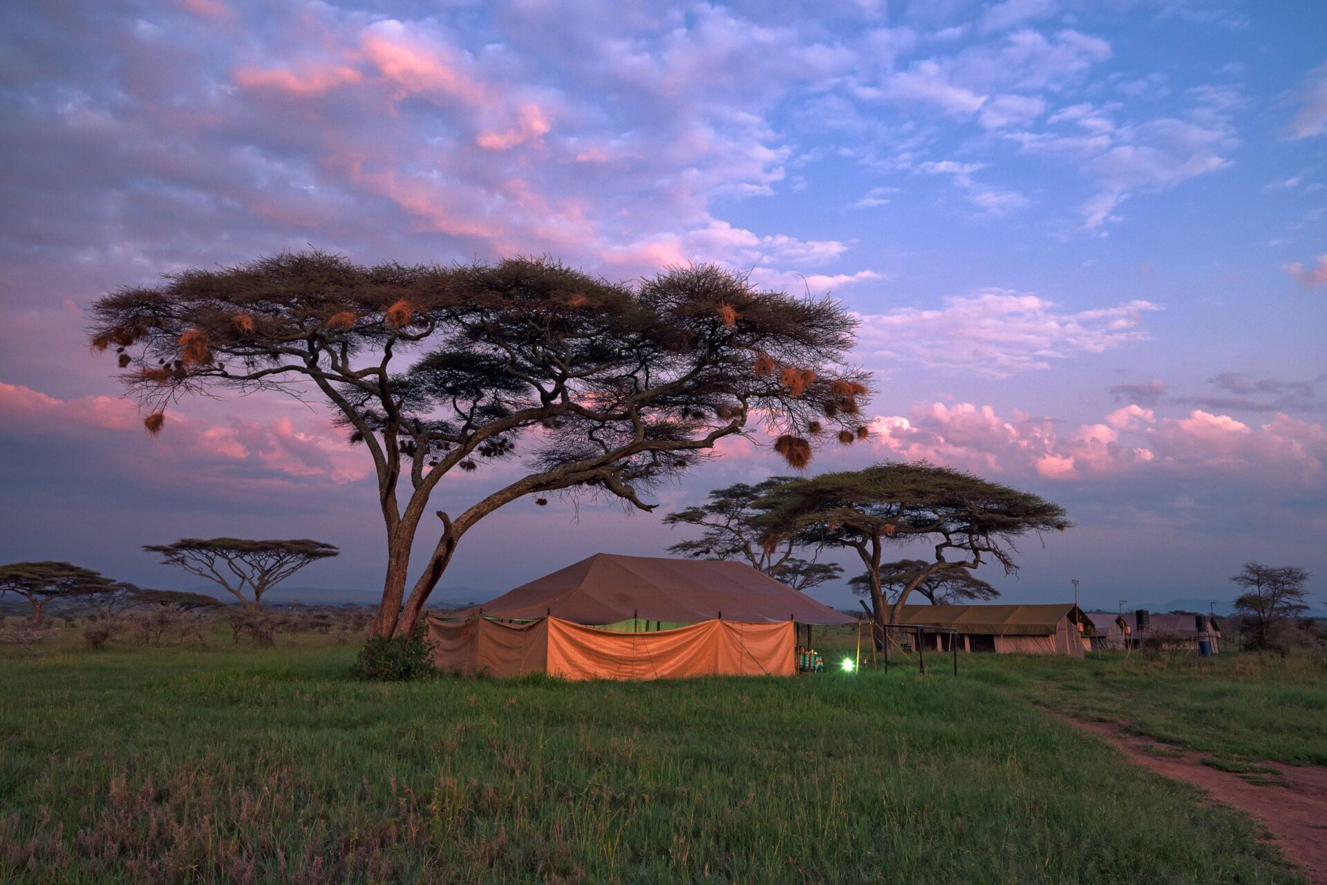 Safari vehicle driving through Kenyan savanna at sunset with acacia trees and distant wildlife silhouettes
