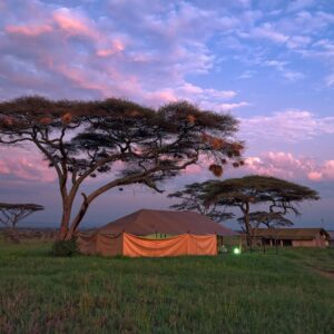 Safari vehicle driving through Kenyan savanna at sunset with acacia trees and distant wildlife silhouettes