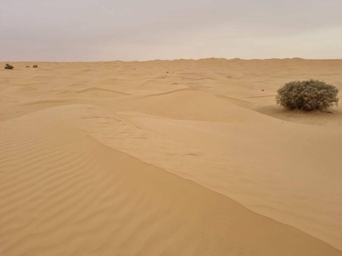 Saharan desert camp with tents set among golden dunes at sunset near Ksar Ghilane