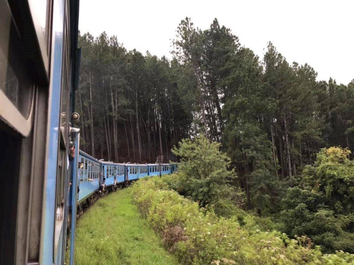 Scenic Sri Lankan train winding through lush green tea plantations on the way to Hatton