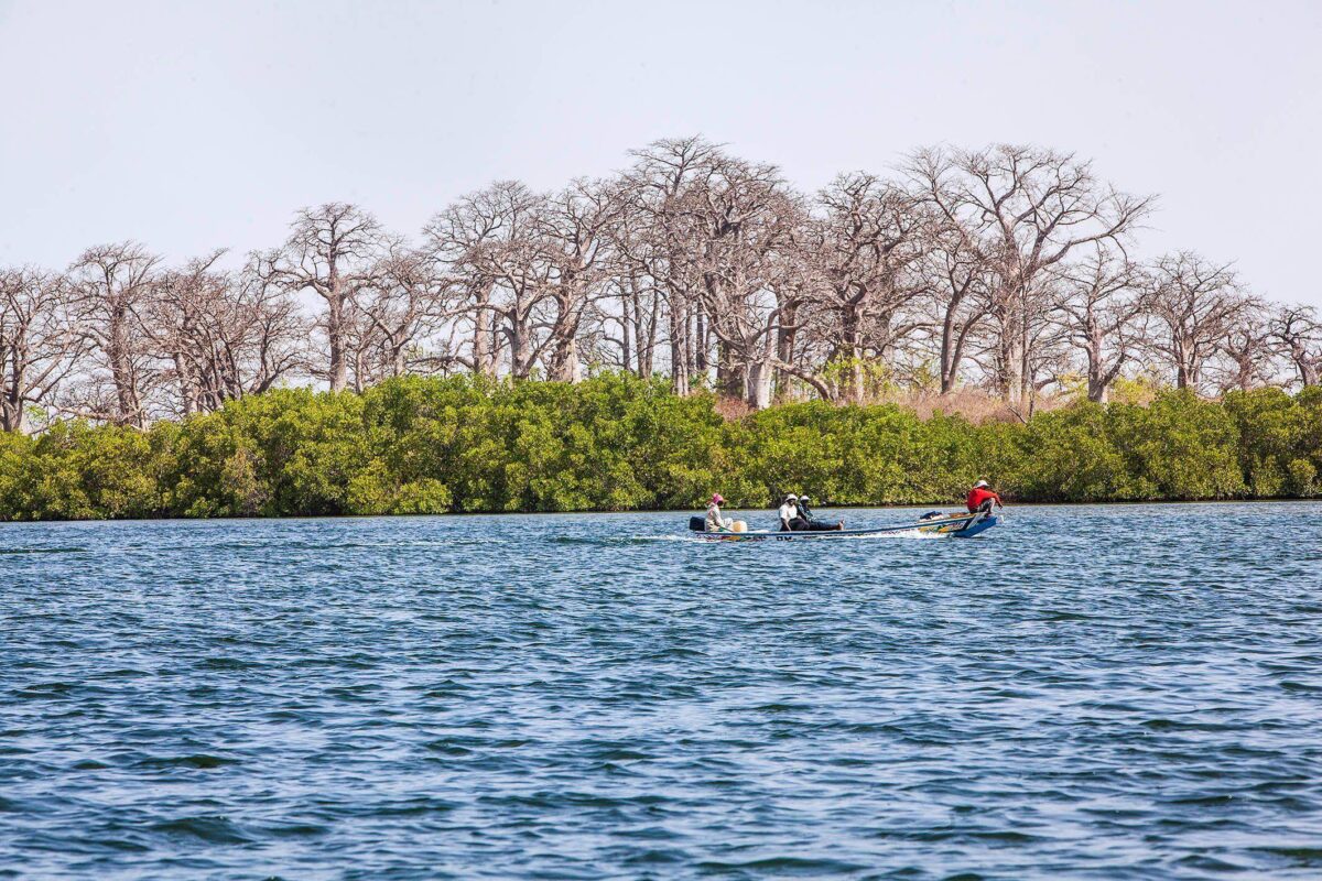 Seaside lodge with pool overlooking the Atlantic Ocean at Nianing on Senegal’s Petite Côte