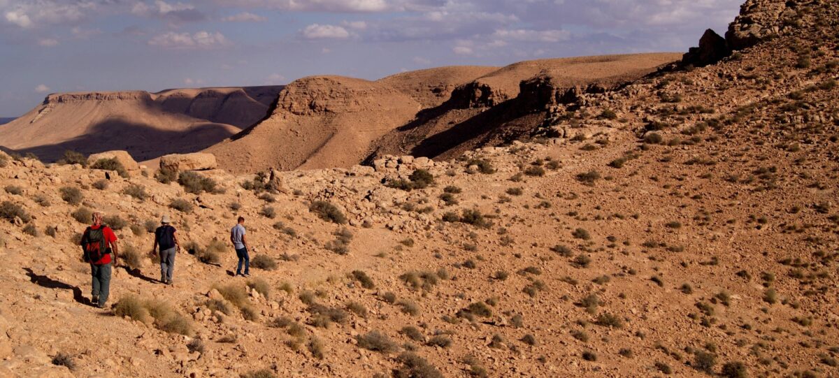 Shepherd walking with his flock across rocky hills in the Dahar mountains