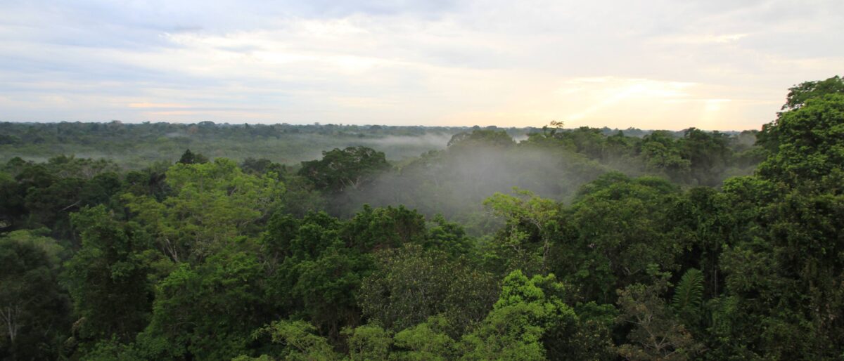 Simple lodge surrounded by tropical gardens near the jungle town of Macas in Ecuador