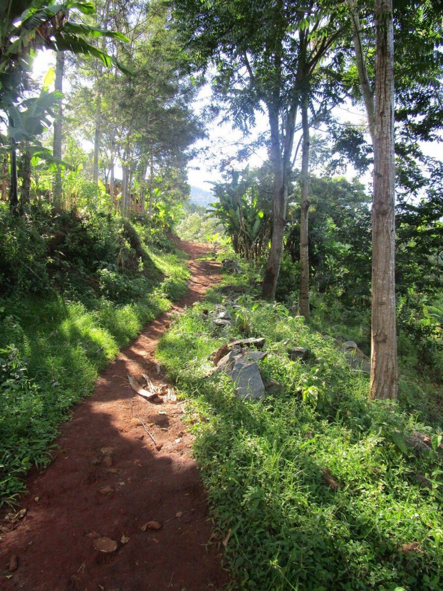 Small campsite with tents and a campfire set in a green valley on the slopes of Mount Kilimanjaro