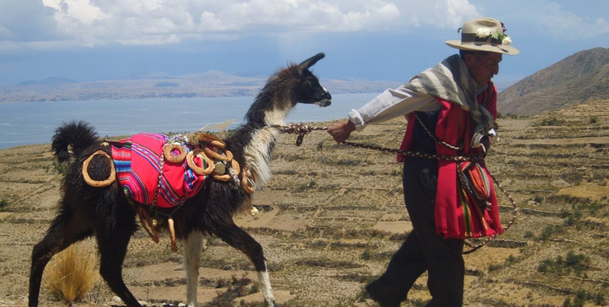 Small motorboat crossing Lake Titicaca from Isla del Sol towards Copacabana with mountains and blue sky in the background