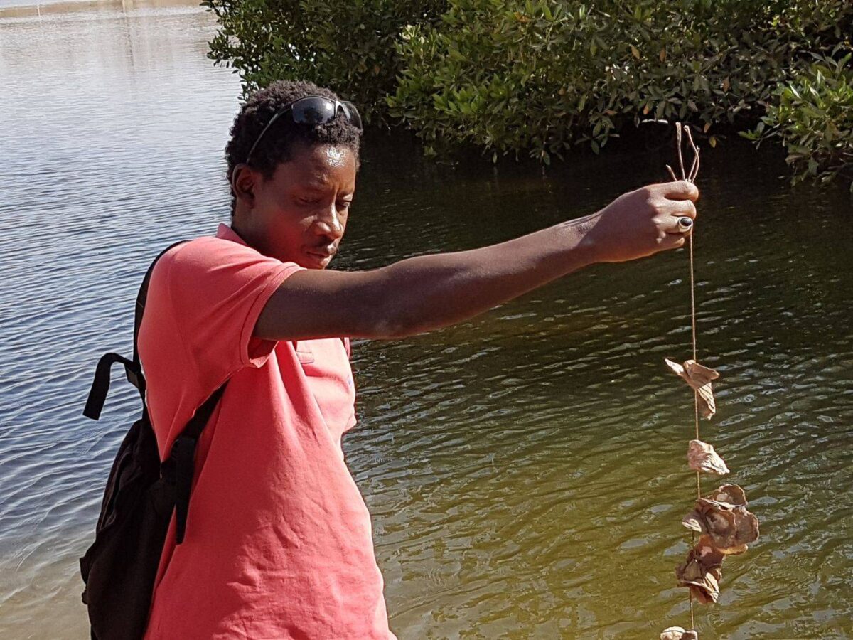 Small village scene in the Saloum Delta with traditional houses and lush greenery