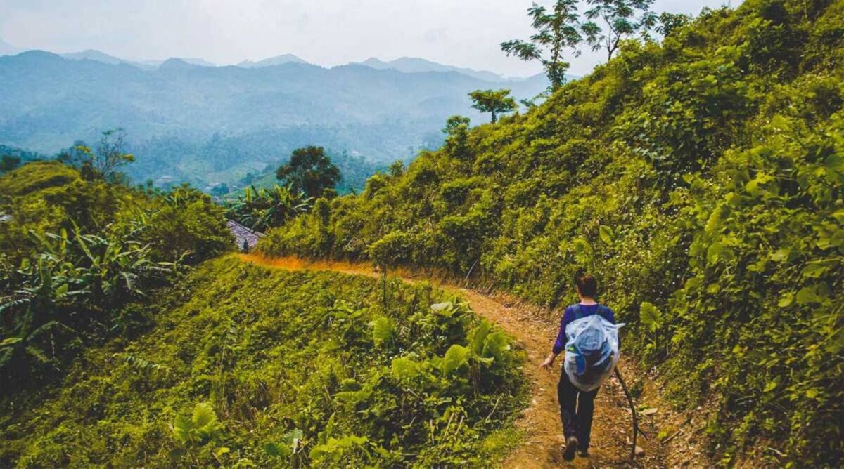 Small wooden boat gliding along a river in Ba Be National Park with dense jungle on both banks and karst cliffs rising in the background