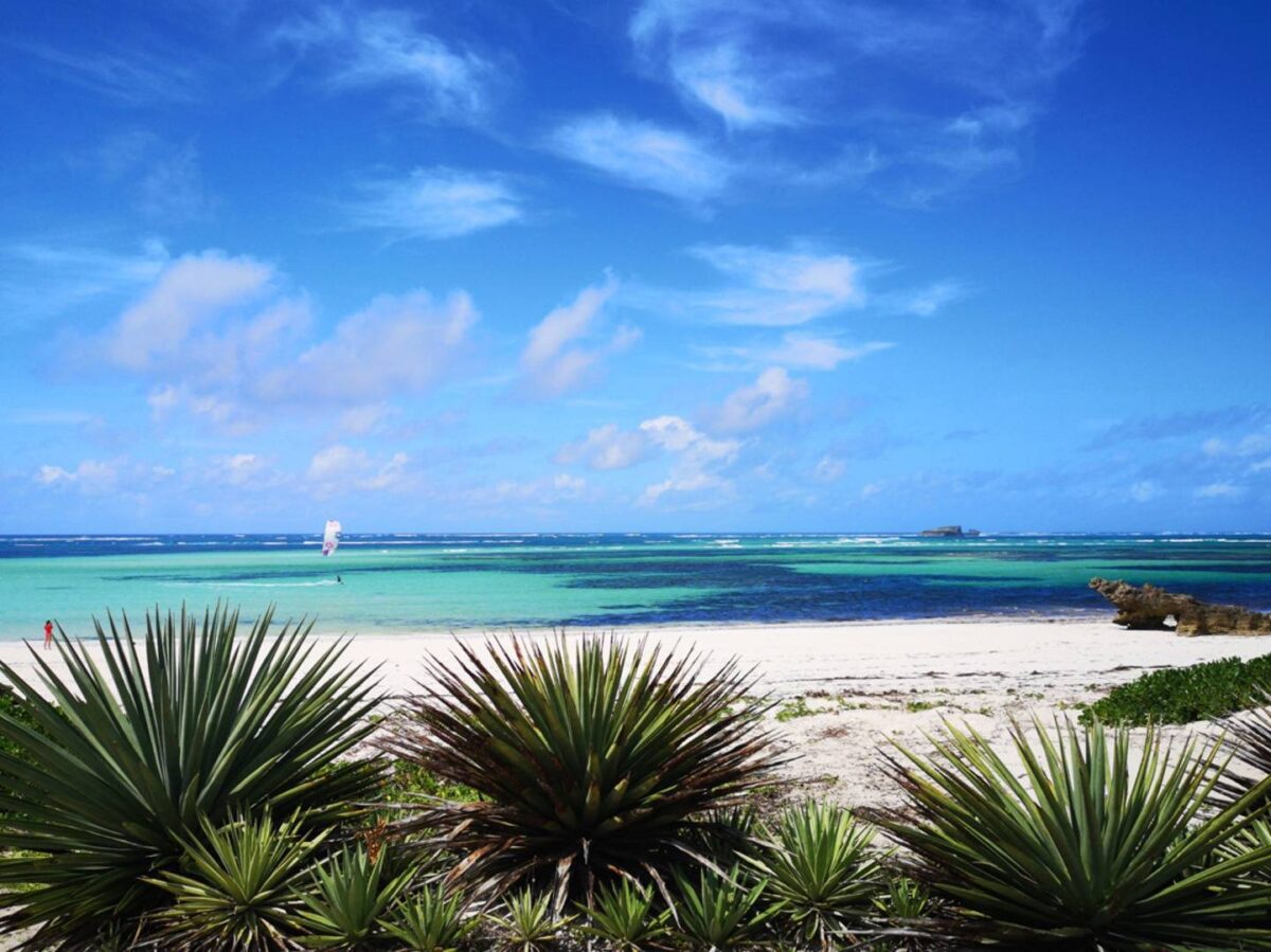 Snorkeler swimming above coral reef and tropical fish near Watamu Marine National Park