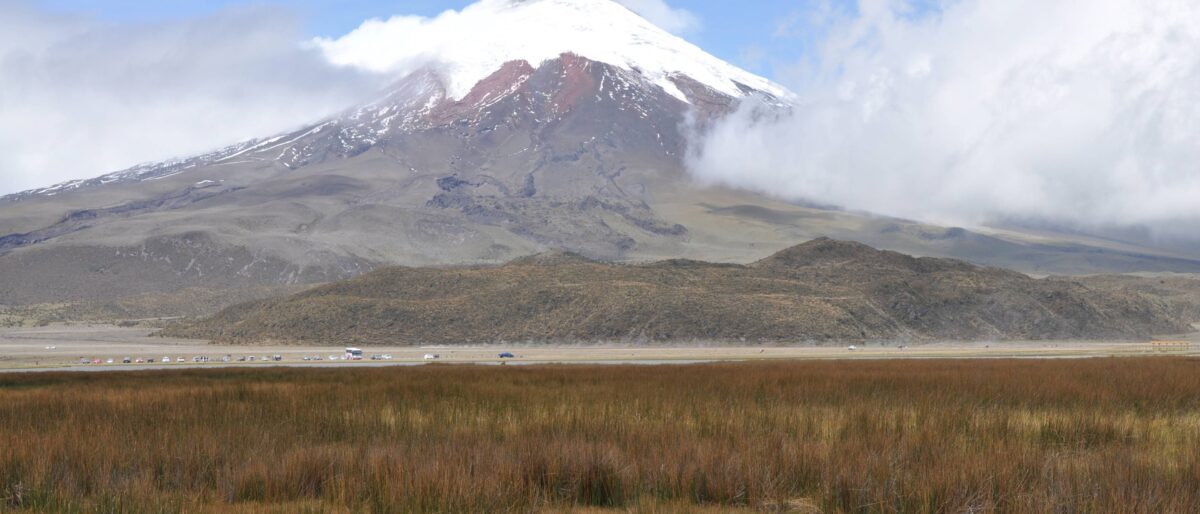 Snow-capped Cotopaxi volcano reflected in the calm waters of Limpiopungo lagoon under a blue sky