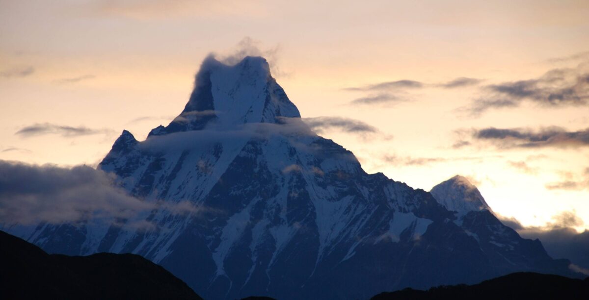 Stone steps leading up through rhododendron forest towards Ghorepani village in the Annapurna region