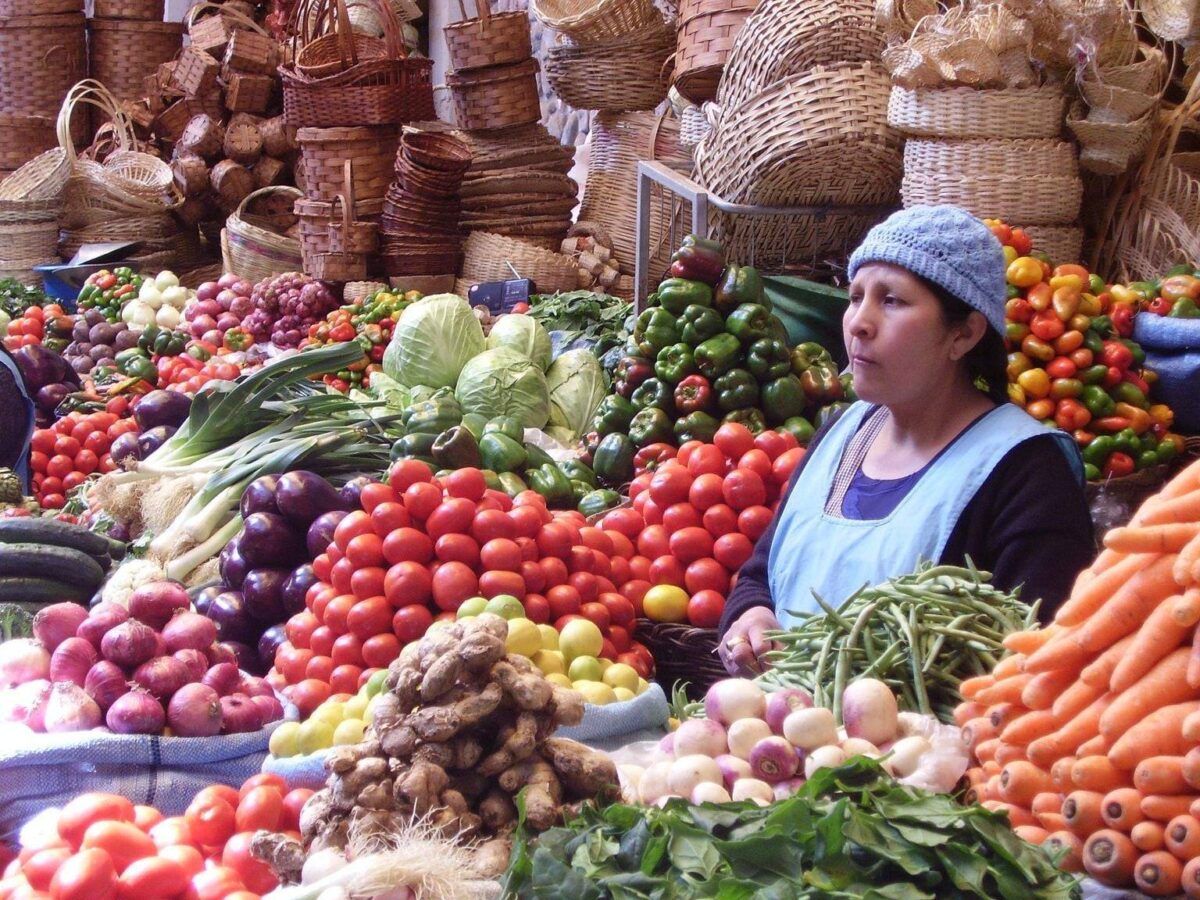 Sunny park in Sucre lined with trees and white colonial buildings, locals and visitors relaxing on benches