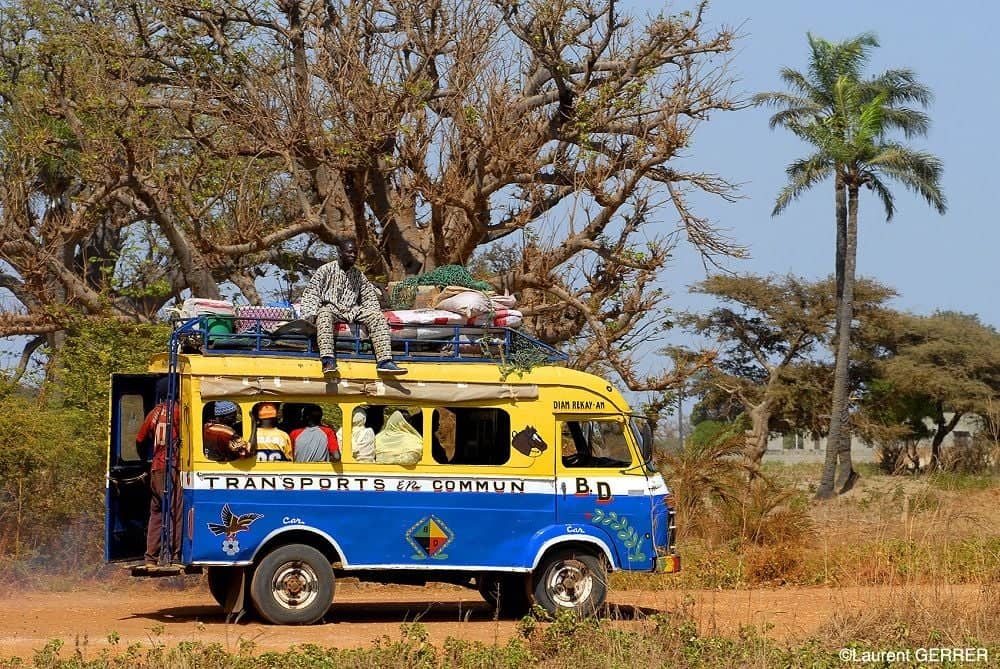 Traditional pirogue gliding through the mangrove-lined bolongs of the Saloum Delta in Senegal at sunset
