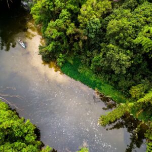 Traditional wooden Amazon riverboat cruising on the dark waters of the Rio Negro surrounded by dense green rainforest near Manaus at sunset
