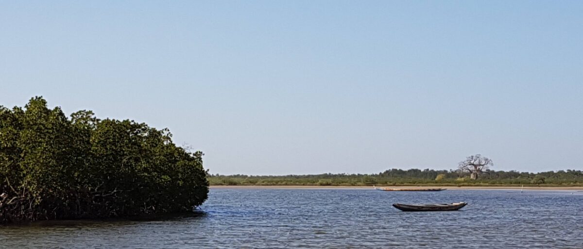 Traditional wooden pirogue navigating through mangroves toward Falia Island in the Saloum Delta
