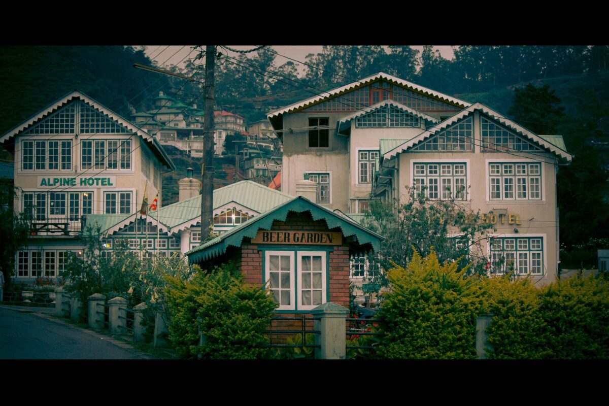 Traveler walking through green tea plantations near Nuwara Eliya in Sri Lanka’s central highlands
