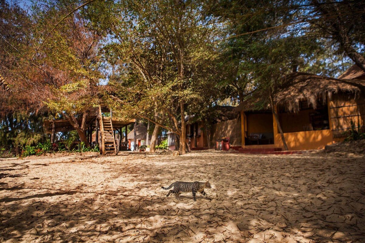 Travelers arriving at Lake Retba in Senegal with pink water and sand dunes at sunset