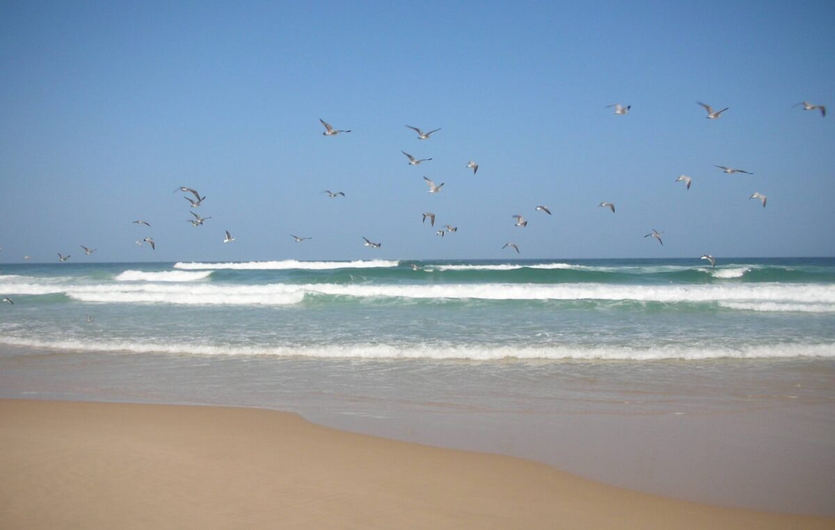 Travelers with suitcases walking through Blaise Diagne International Airport terminal in Senegal