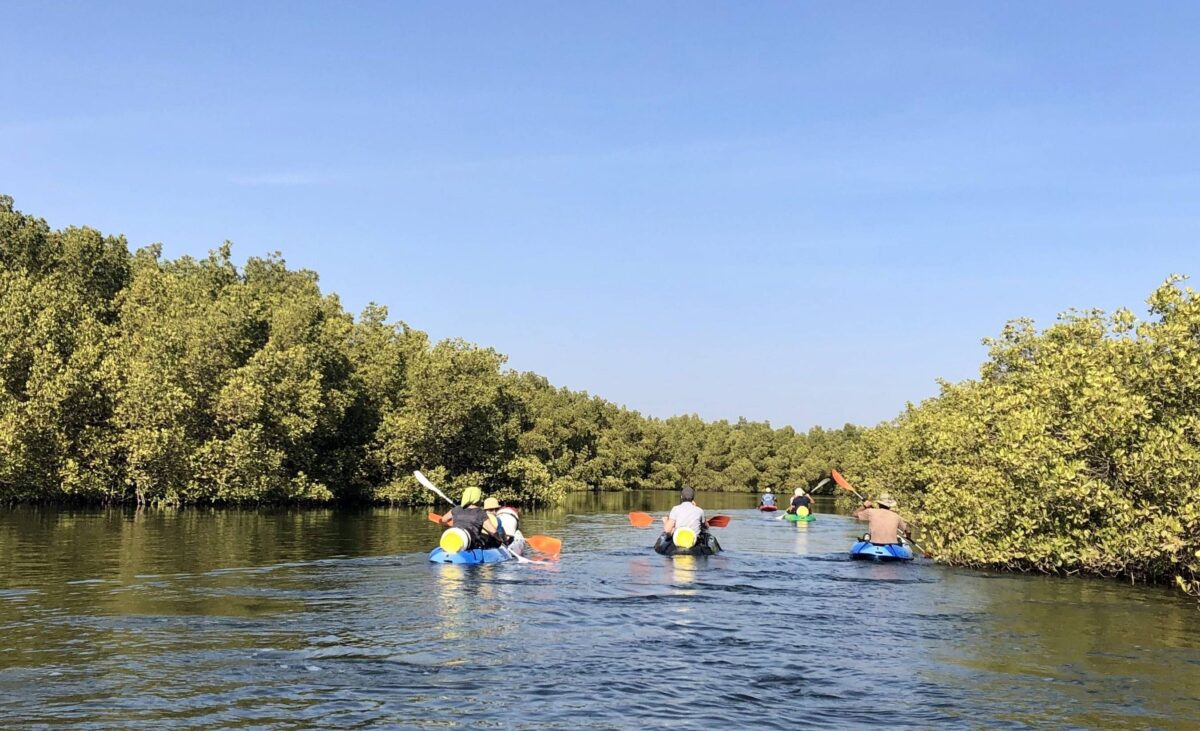 Traveller relaxing by a pool above the mangrove in the Saloum Delta before departing for the airport
