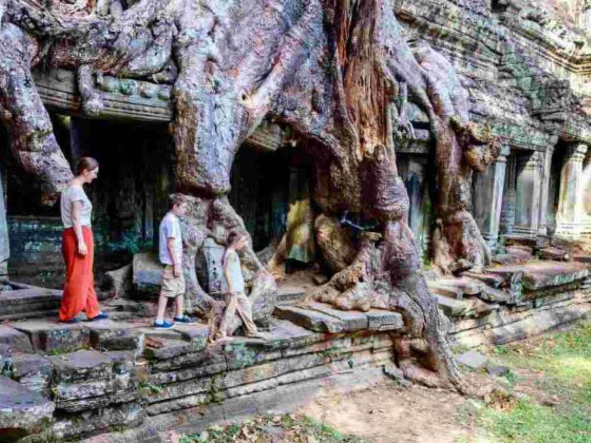 Tree roots enveloping the ancient stone walls of Ta Prohm temple in the Angkor complex