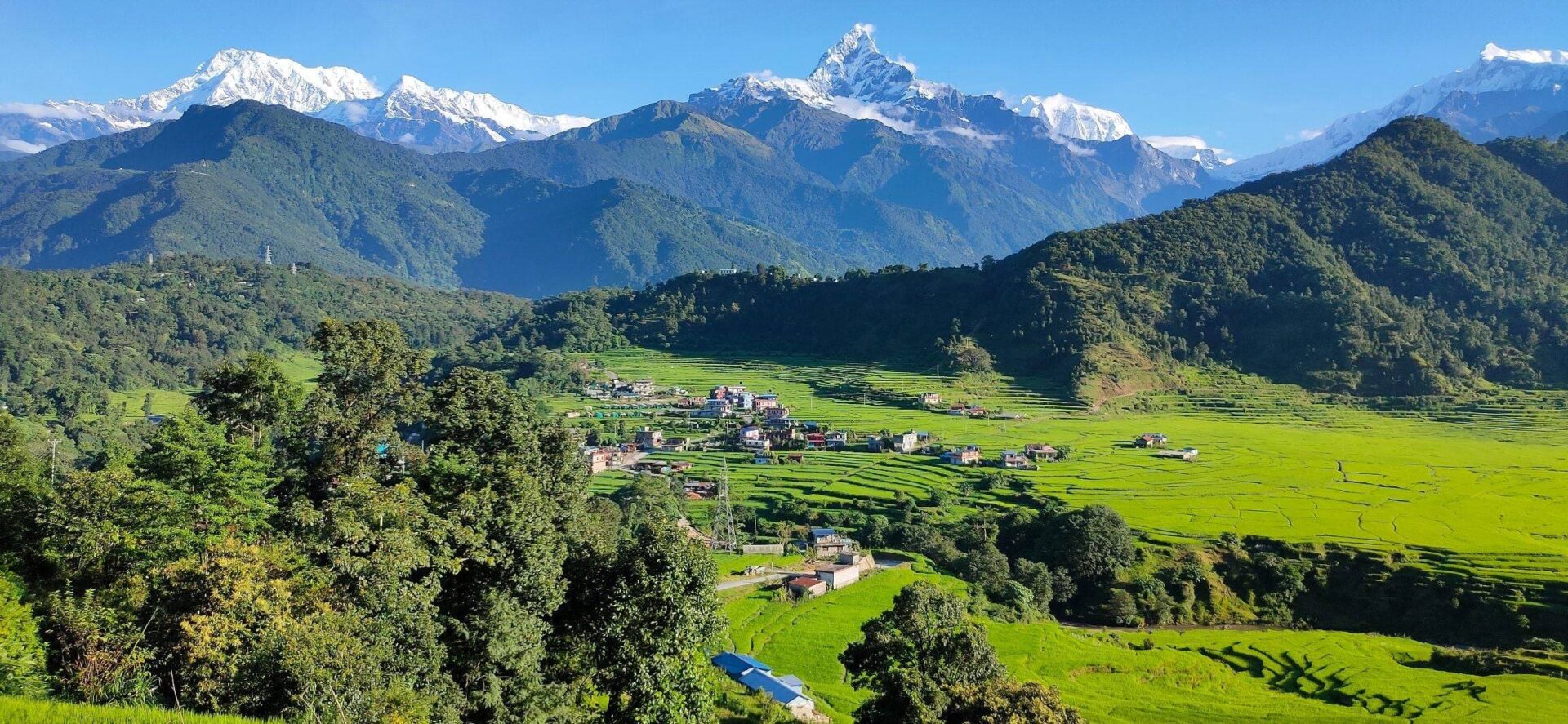 Trekking group walking along a mountain trail in the Annapurna foothills with snow-capped Himalayan peaks and terraced hillsides in the background at sunrise