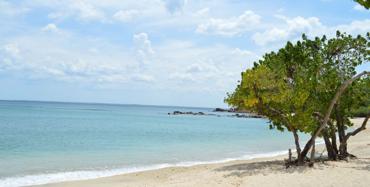 Tropical beach at Trincomalee with white sand, palm trees and calm turquoise sea under a sunny sky
