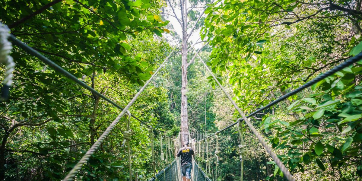 Tropical coastline and forested hills inside Penang National Park