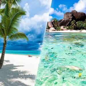 Tropical Indian Ocean beach with white sand, turquoise water and palm trees on an idyllic island