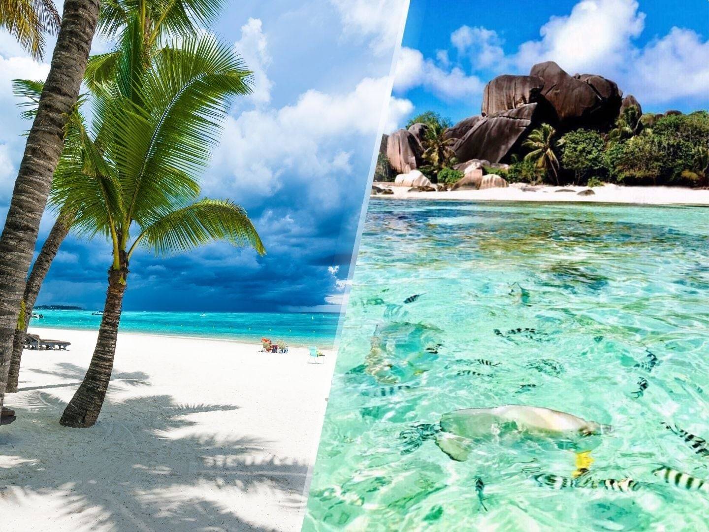 Tropical Indian Ocean beach with white sand, turquoise water and palm trees on an idyllic island