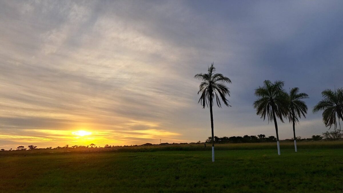 Tropical plaza in Santa Cruz de la Sierra with palm trees, colonial buildings and people walking in the late afternoon light
