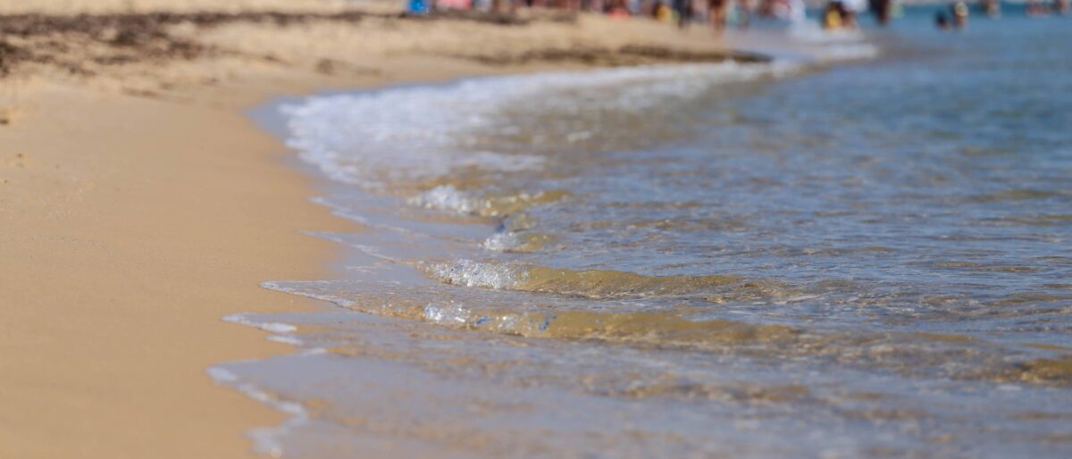 View of Hammamet beachfront with palm trees, golden sand and turquoise sea in Tunisia