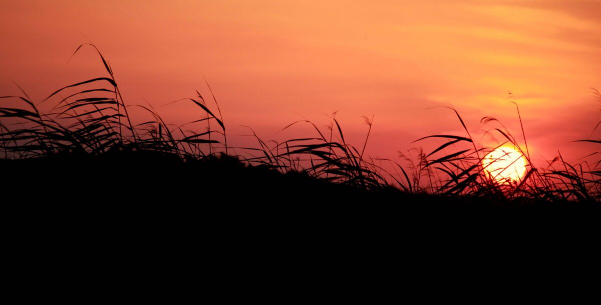 View over Cappadocia’s landscape from a departing vehicle heading towards the airport at sunrise
