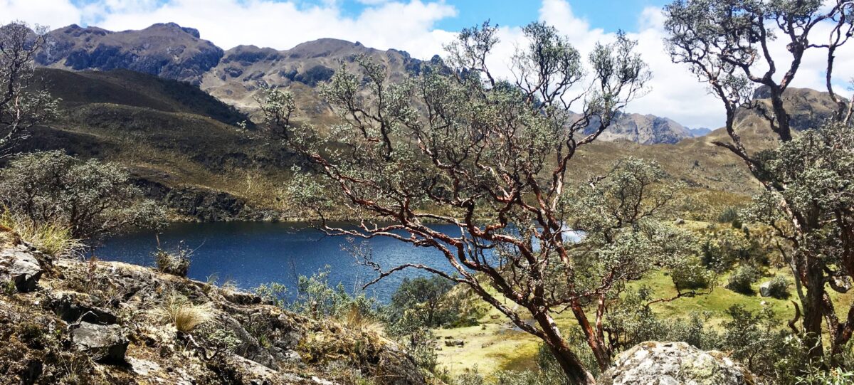 View over Guayaquil’s Malecón 2000 and Las Peñas quarter beside the wide Guayas River