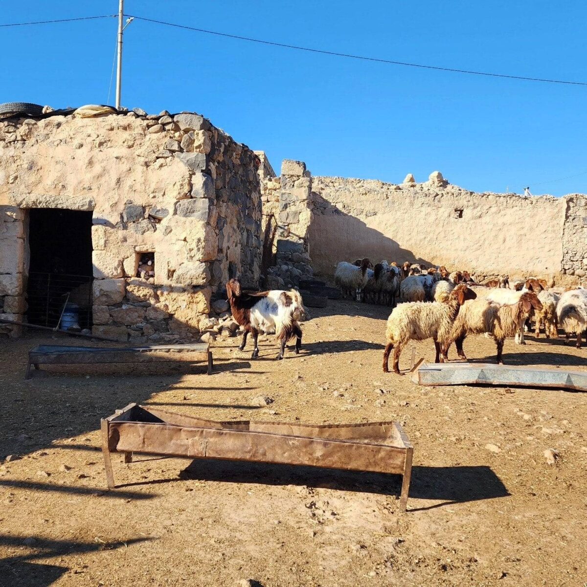 View over Karak Crusader Castle perched on a hill above the Jordanian landscape