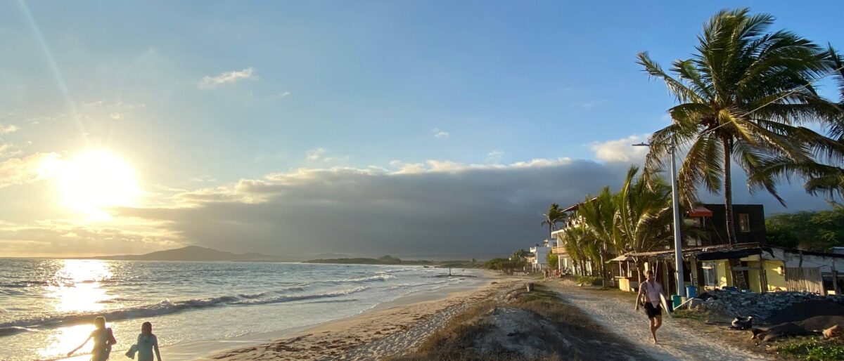 White-sand beach and turquoise lagoon on Isabela Island fringed by volcanic rocks and mangroves