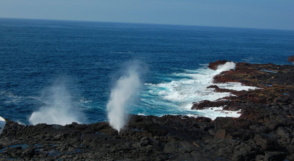 White sand beach at Gardner Bay on Española Island with resting sea lions and turquoise water